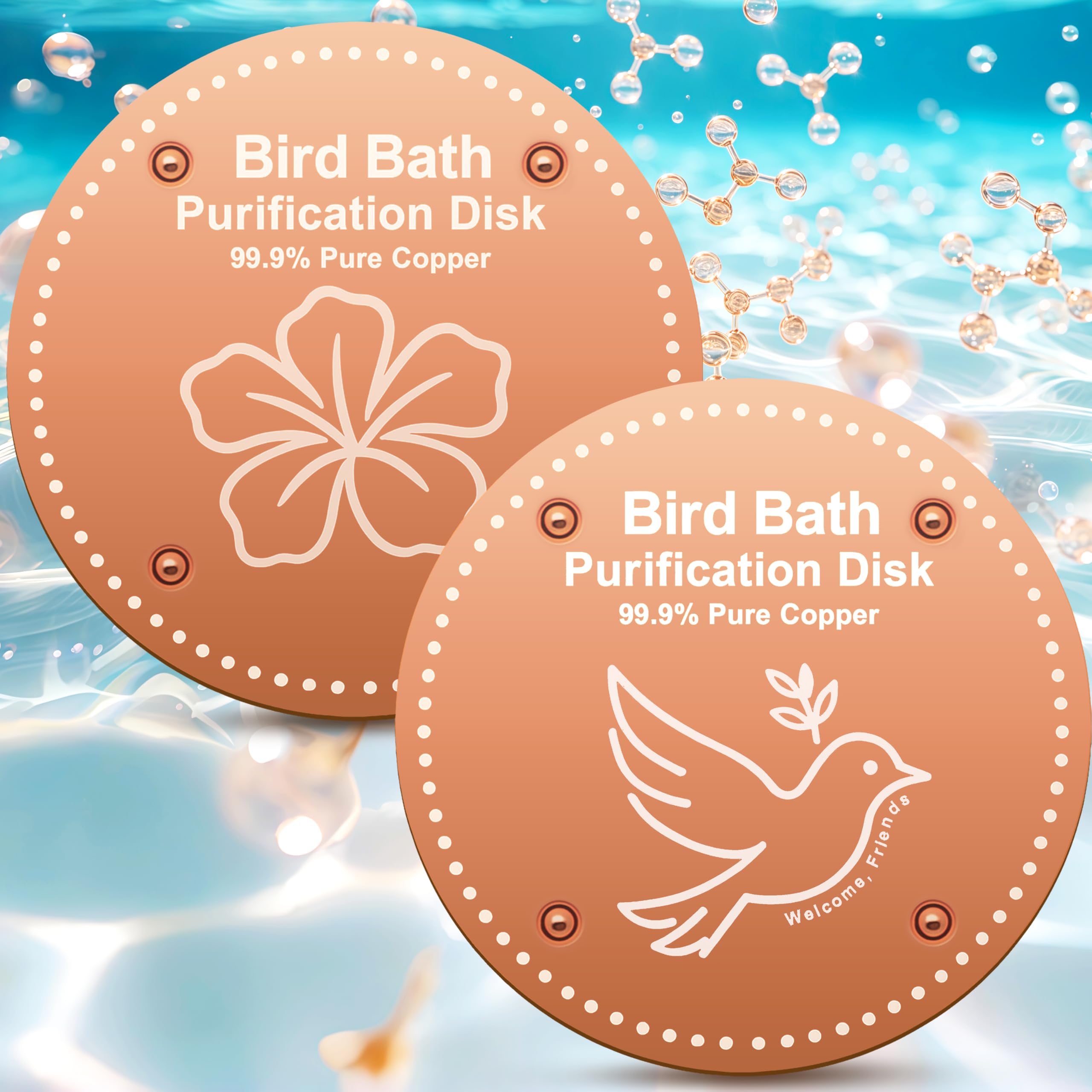 Fontaine à eau pour fenêtre et purification de bain d'oiseaux