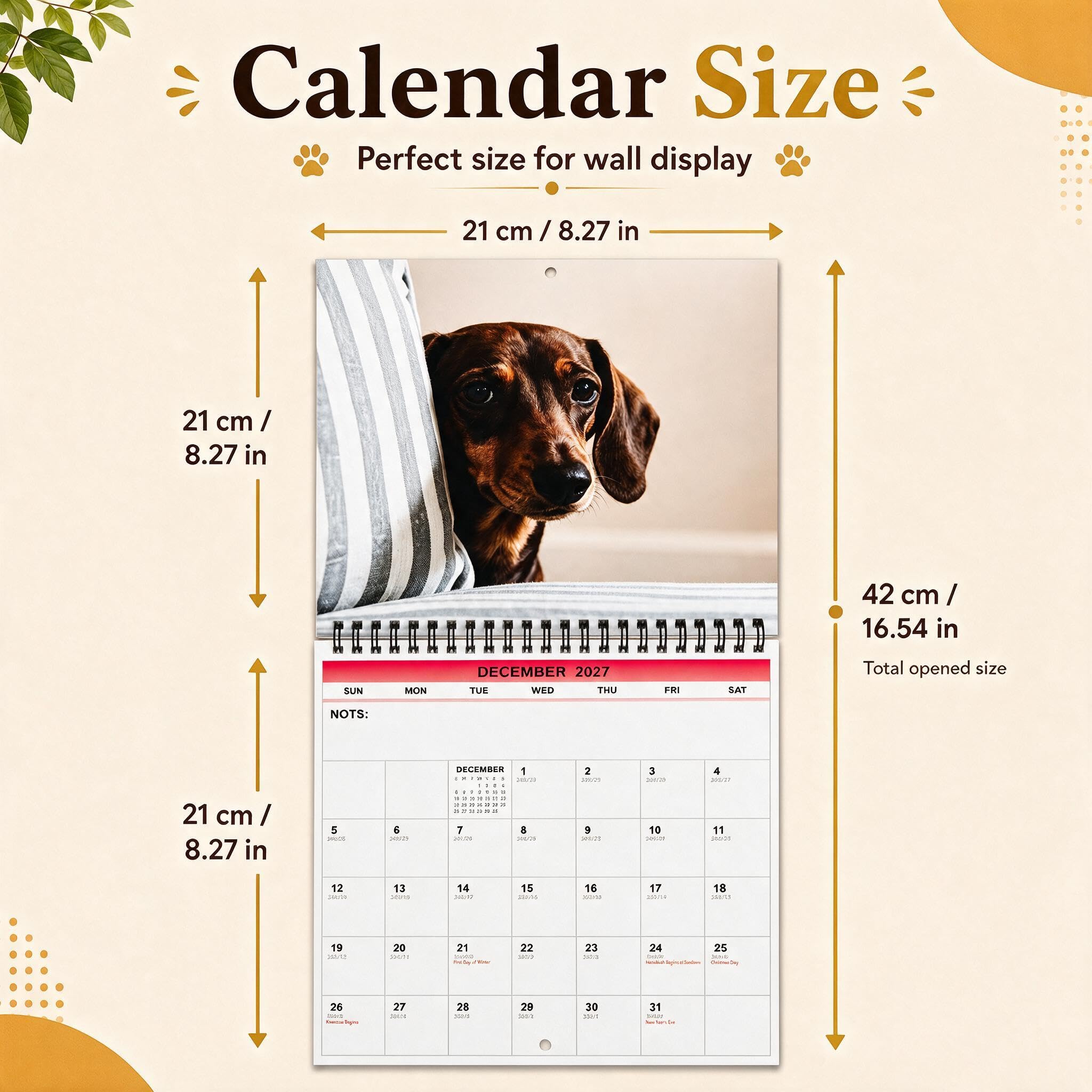 View 5