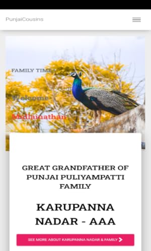 PunjaiCousins