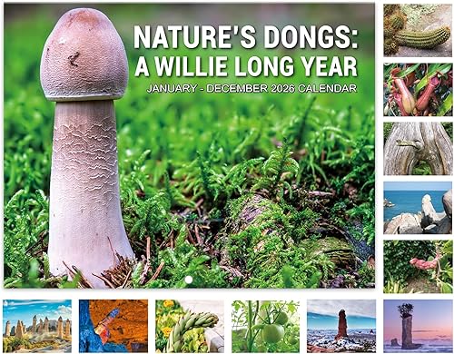 Regalos de broma – Calendario divertido 2026, 12 meses desde enero de 2026 a diciembre de 2026, 11 x 17 pulgadas (abierto), calendario de pared con