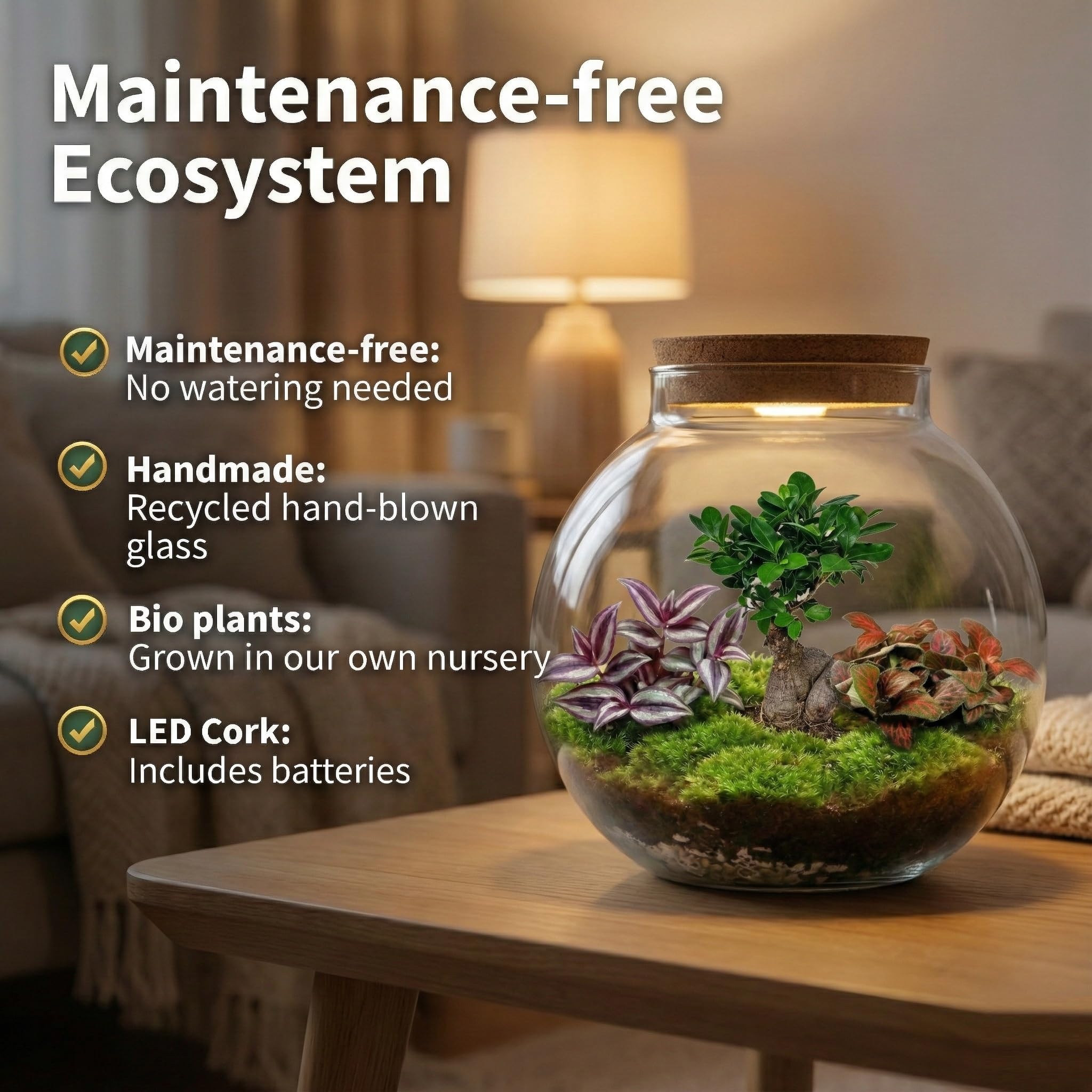 vdvelde.com - Bonsai Ökosystem - Bonsai und Minipflanzen - Ø 25cm ↥ 28cm - Batteriebetriebene Beleuchtung