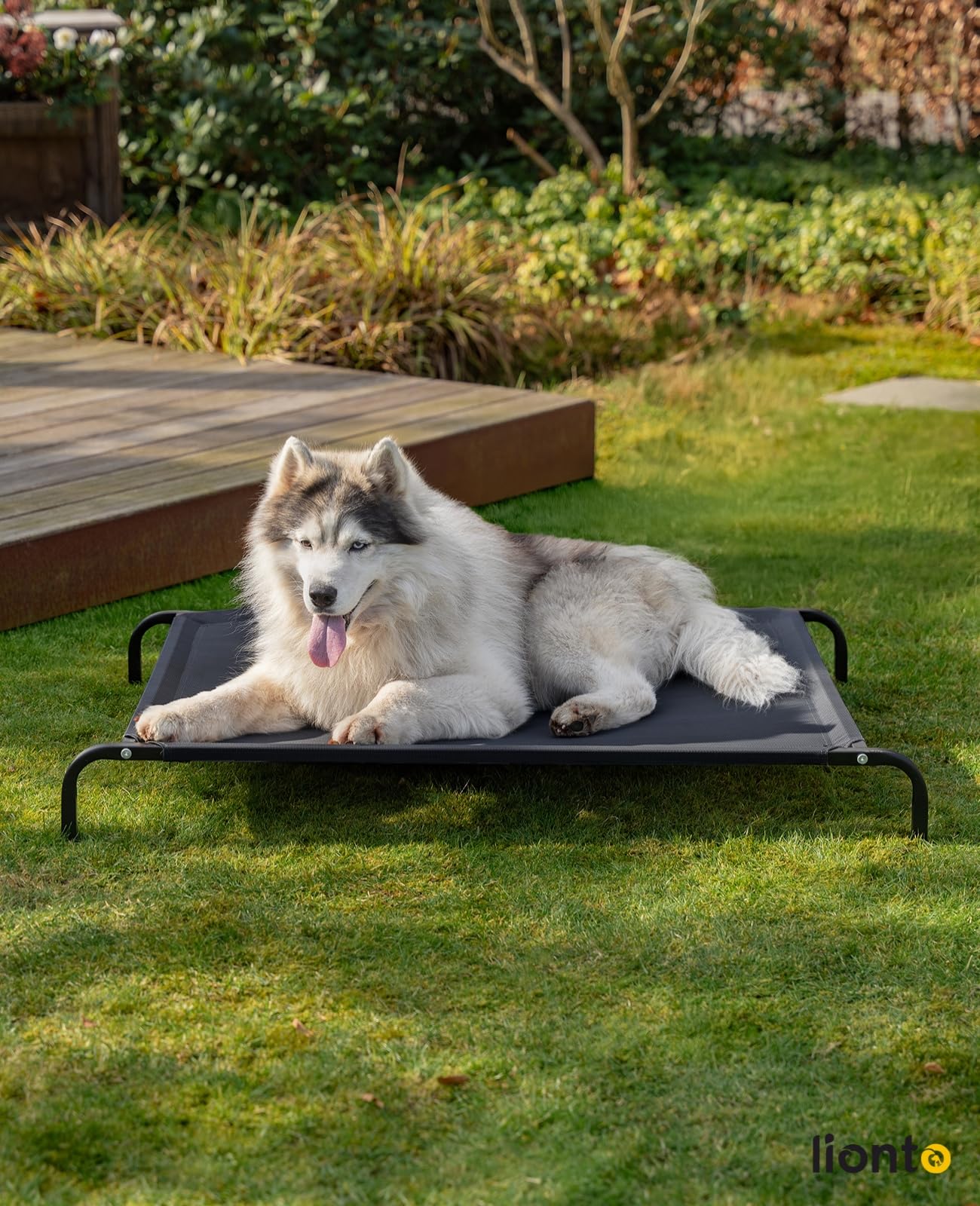 lionto Lit pour Chien surélevé d'extérieur, Couchage Stable pour Animaux avec Bonne Circulation de l'air, 117x85 cm, Housse Amovible en Maille Respirante, Cadre métallique Robuste, Noir