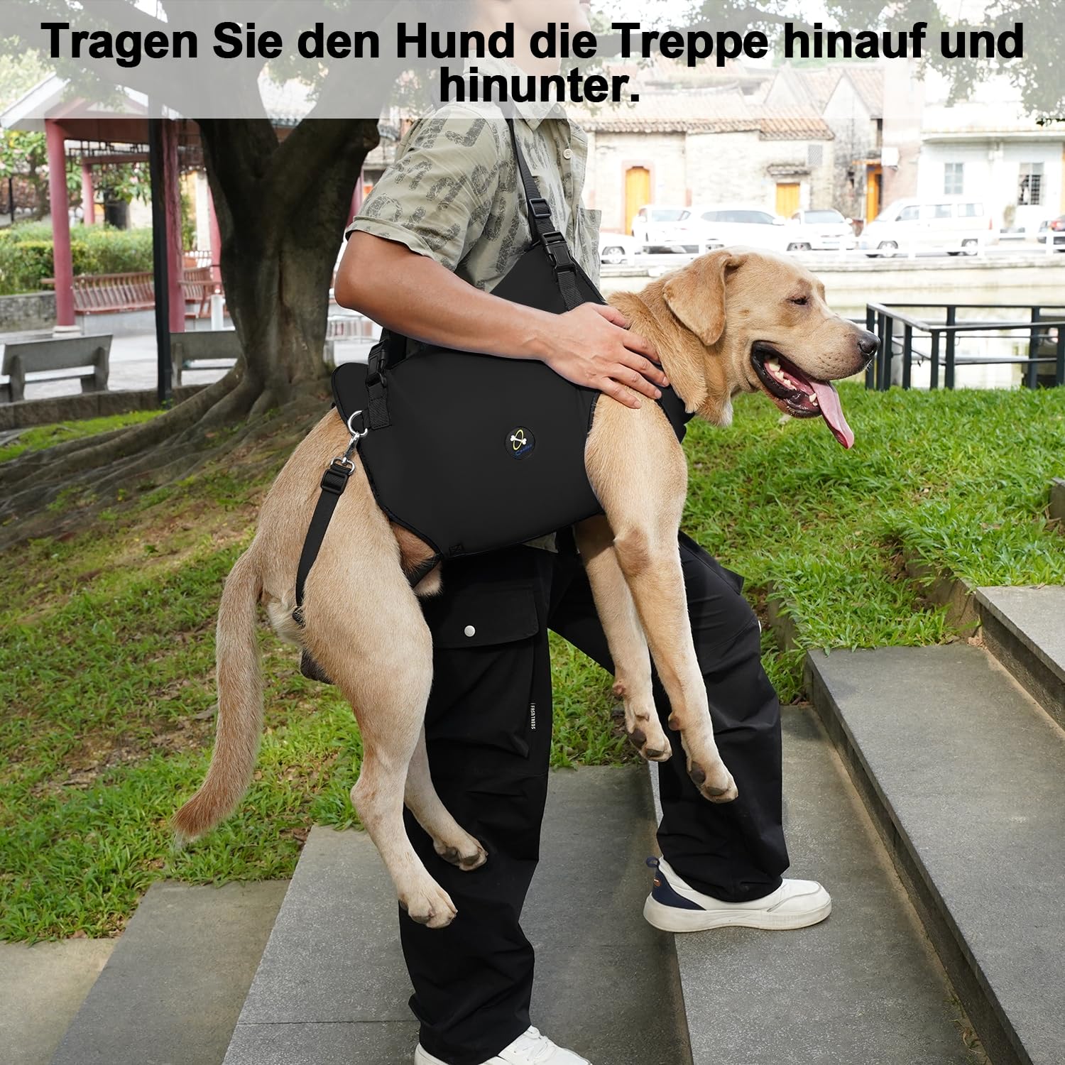 Coodeo Hundetragegurt: Unterstützungs & Rehabilitations-Schlinge, verstellbar gepolstert atmungsaktiv, für ältere, behinderte Hunde mit Gelenkproblemen oder Stabilitätsverlust (Schwarz, XL)