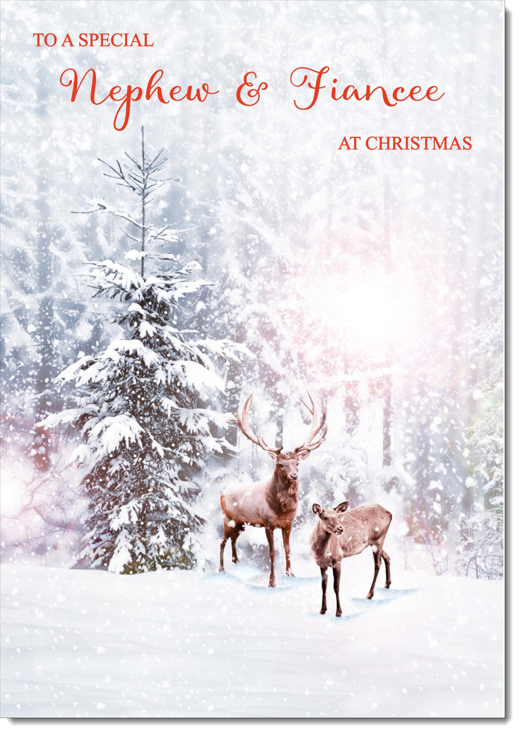 doodlecards Nephew and Fiancee Christmas Card Deers in Forest Large A4 Size Christmas Card for Nephew & Fiancee with Plain Envelope — image 1