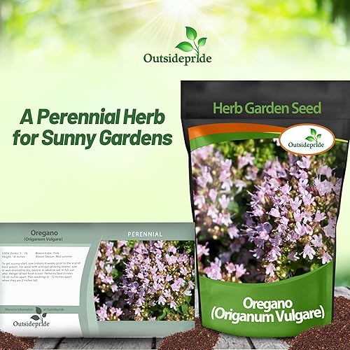 Miniatura 6 de Outsidepride Semilla de jardín de hierbas de orégano perenne de 14 lb para plantar