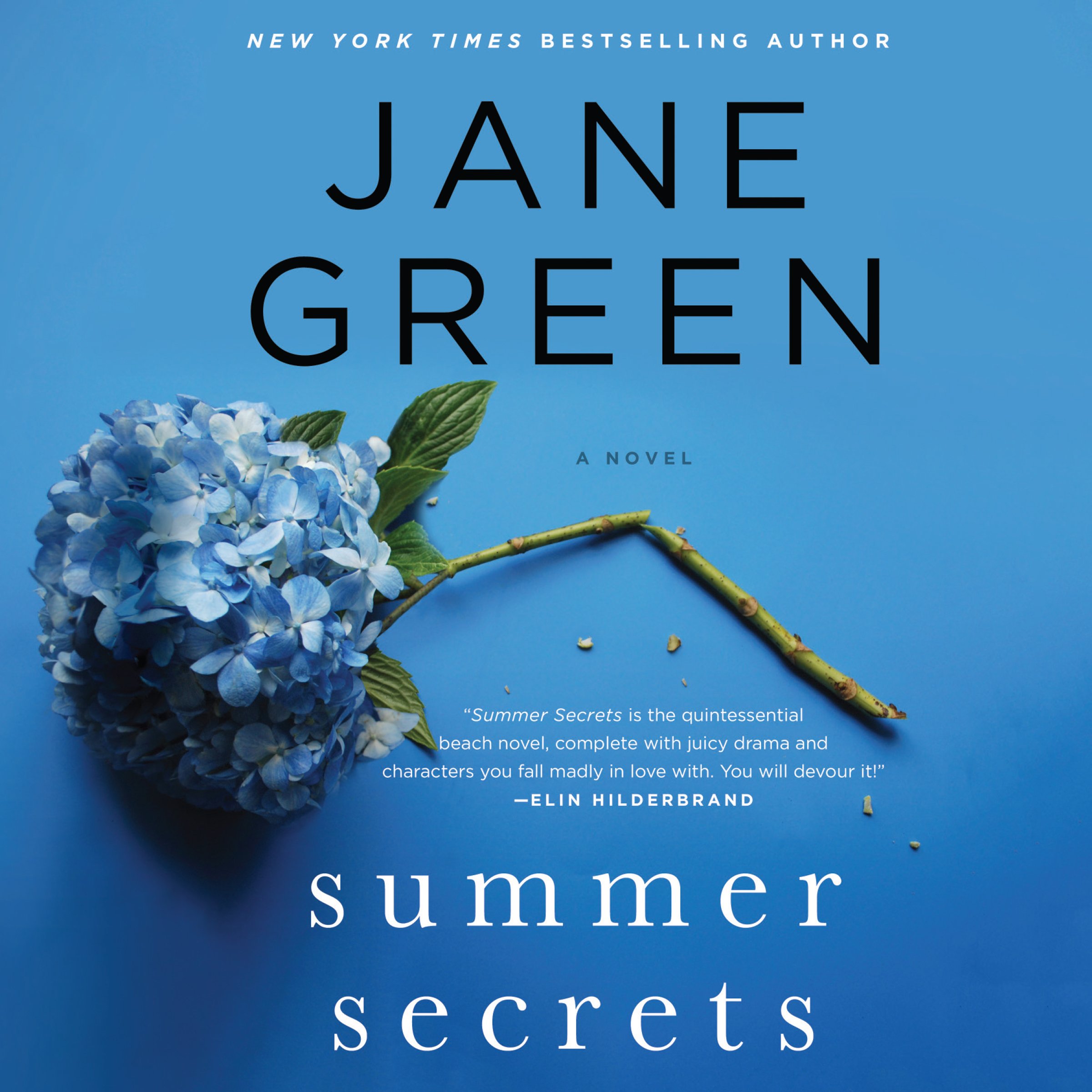 Cover art for Summer Secrets