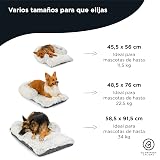 Ver la foto 7