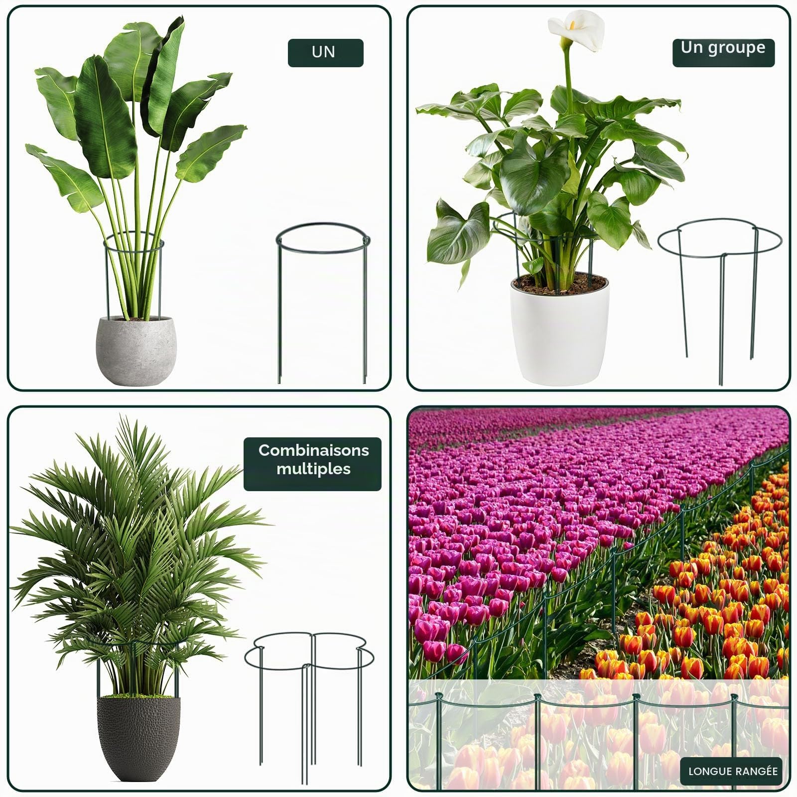 12 Pièces Grands Tuteurs Semi-Circulaires 25x60cm - Support pour Plantes, Pivoine, Intérieur - Anneau de Soutien pour Hortensias, Pivoines, Vivaces, Légumes