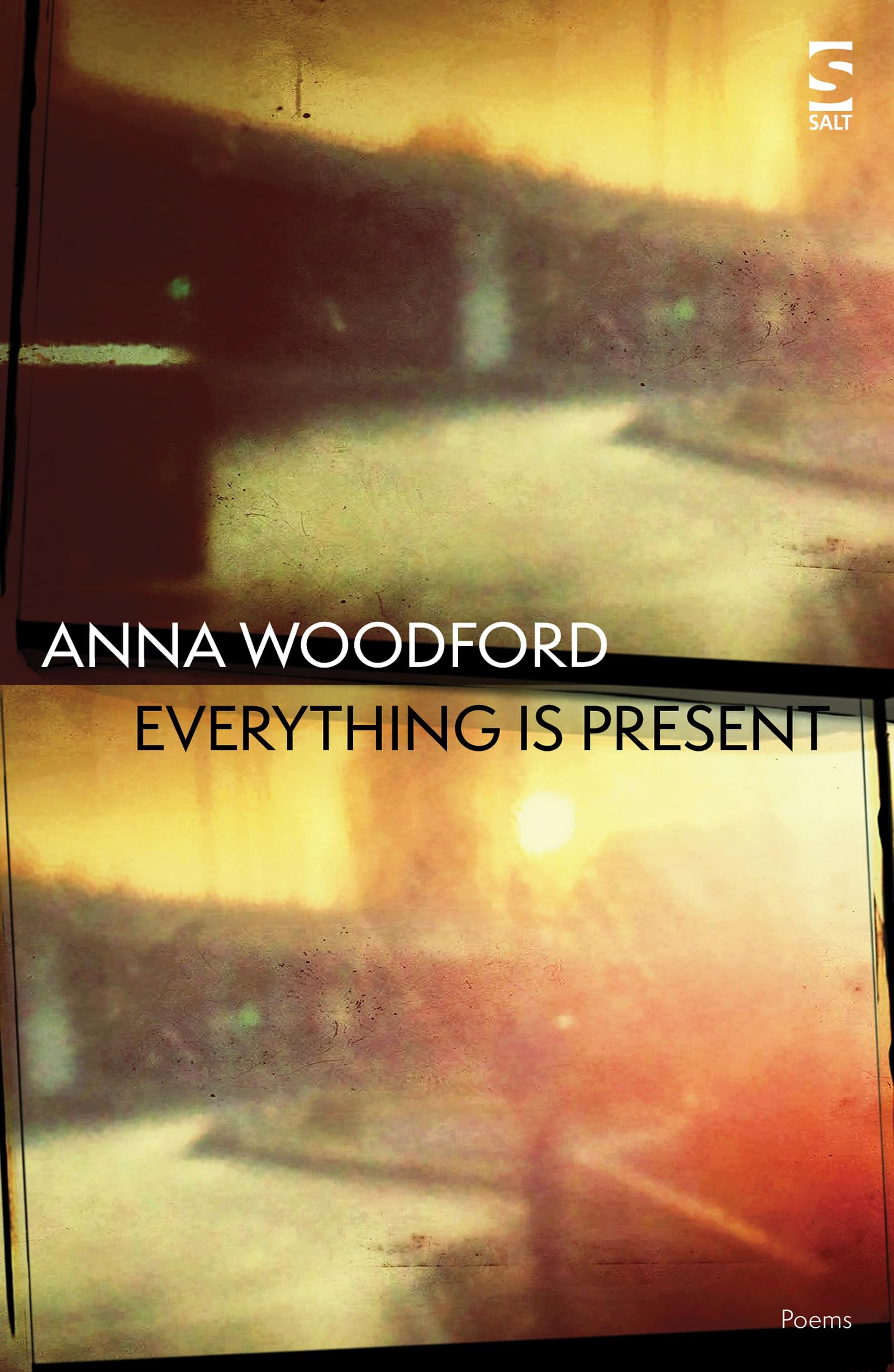 Everything is Present (Salt Modern Poets)