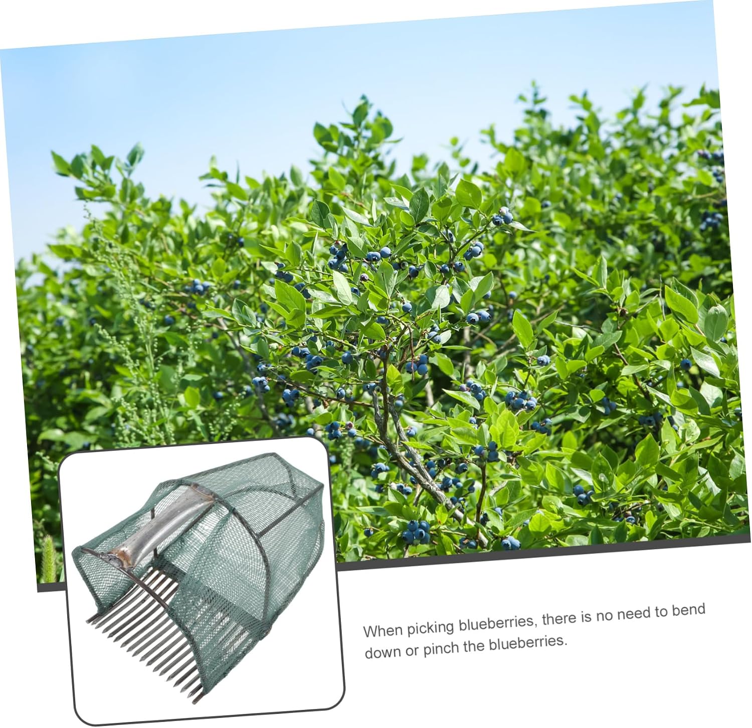 Handheld Blueberry Picker Tool with Teeth Durable Basket for Efficient Fruit Harvesting Gardens Farms and Orchards