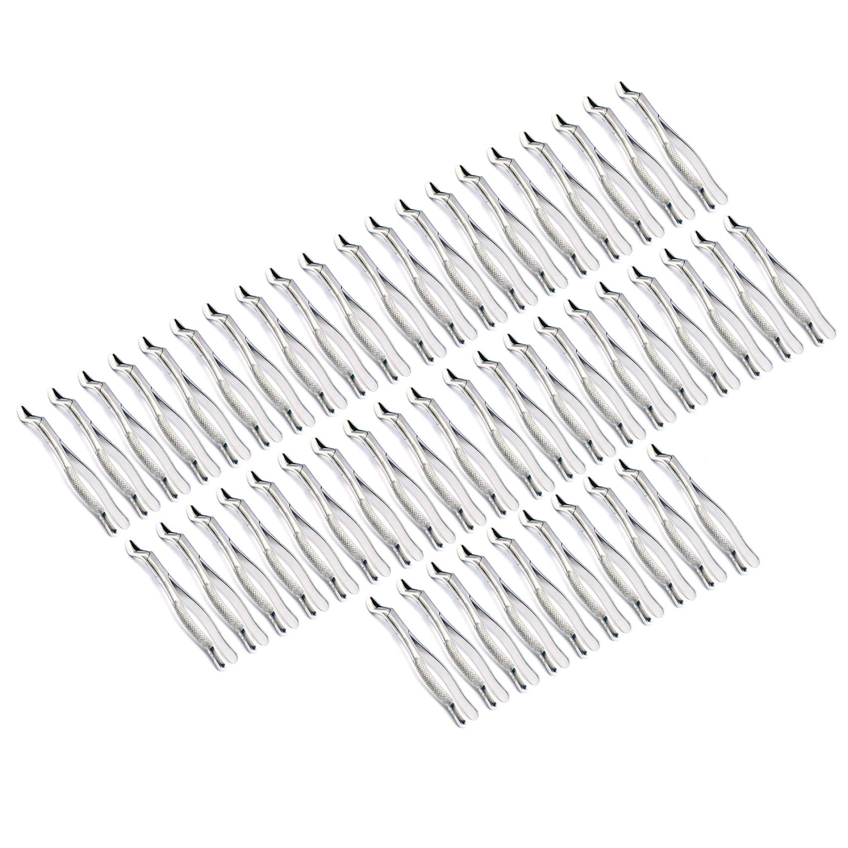 OdontoMed2011® Set Of 50 Dental Extracting Forceps #53L Dental Extraction Instruments ODM