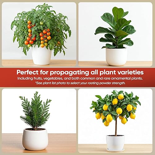 Miniatura 5 de Hormex Polvo de enraizamiento #8 (paquete de 1) - Hormona de enraizamiento para plantas moderadamente difíciles de raíces - Forma rápida y fácil de