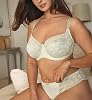 Panache 5