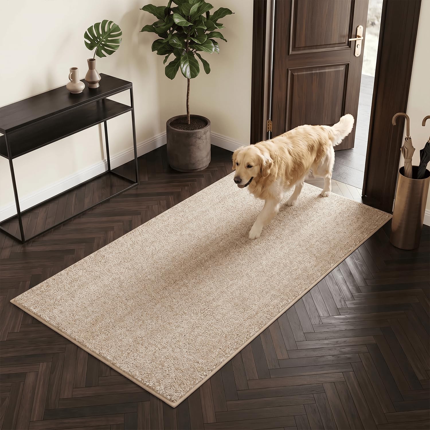 Oiilores Dirt Trapper Door Mat Indoor 80 x 178 cm, Washable Entry Rug, Inside Doormats for Entryway, Non-Slip, Super Absorbent Dog Mats for Muddy Paws, Pets, Beige