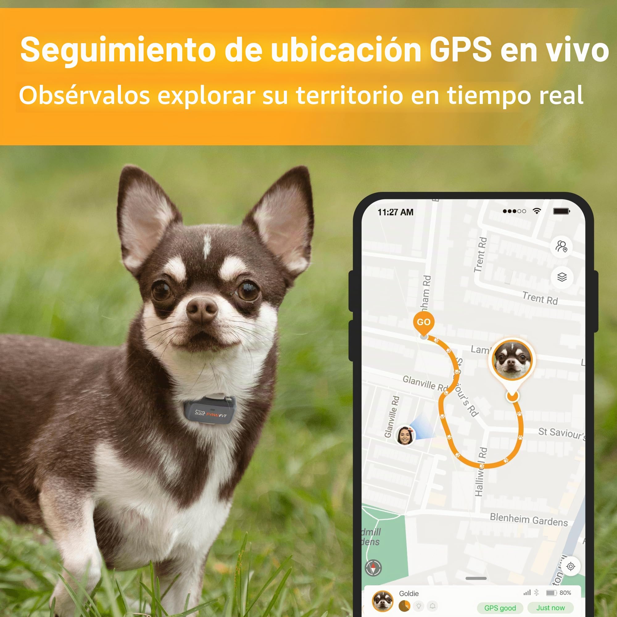 Pawfit Rastreador GPS Lite for Dogs 4g | Monitoreo en tiempo real | Seguimiento de actividad | Historial de ubicaciones | Rango ilimitado | Collar de seguridad incluido|Onyx negro