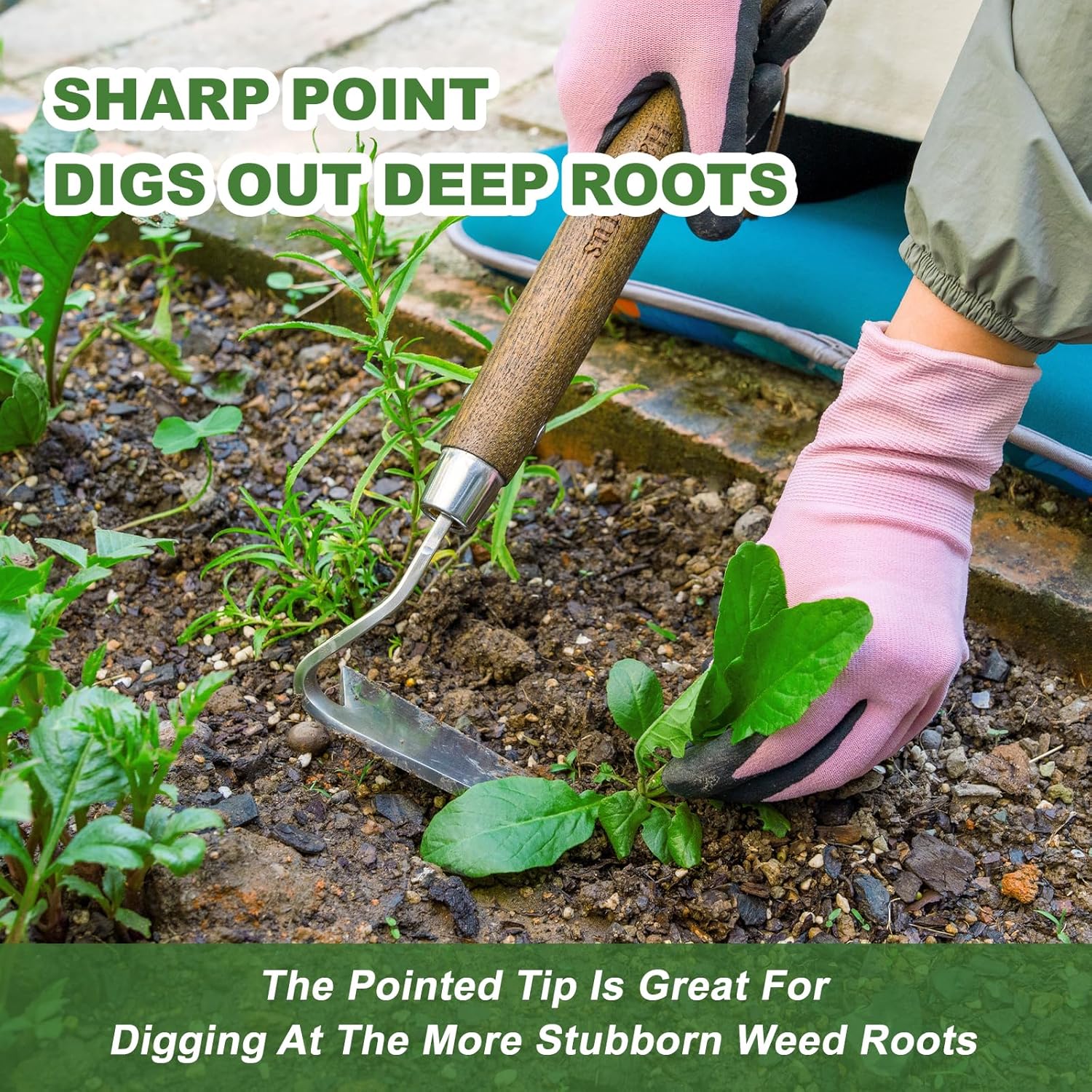 Sickle Hoe, 58'' Long Handle Japanese Hand Hoe for Standing to Remove Weed, Stainless Steel Scraper Hoe, Bent Angle Weeding Sickle for Fastly Scraping Out Weed on Flower Bed, Between Plants