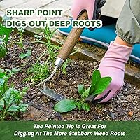 Vista 3 de Haliaeetus Hoz de Jardinería, Hoz Japonesa de Ángulo Curvado para Desbrozar, Raspador de Hierbas de Acero Inoxidable, Hoz de Mano de Jardinería