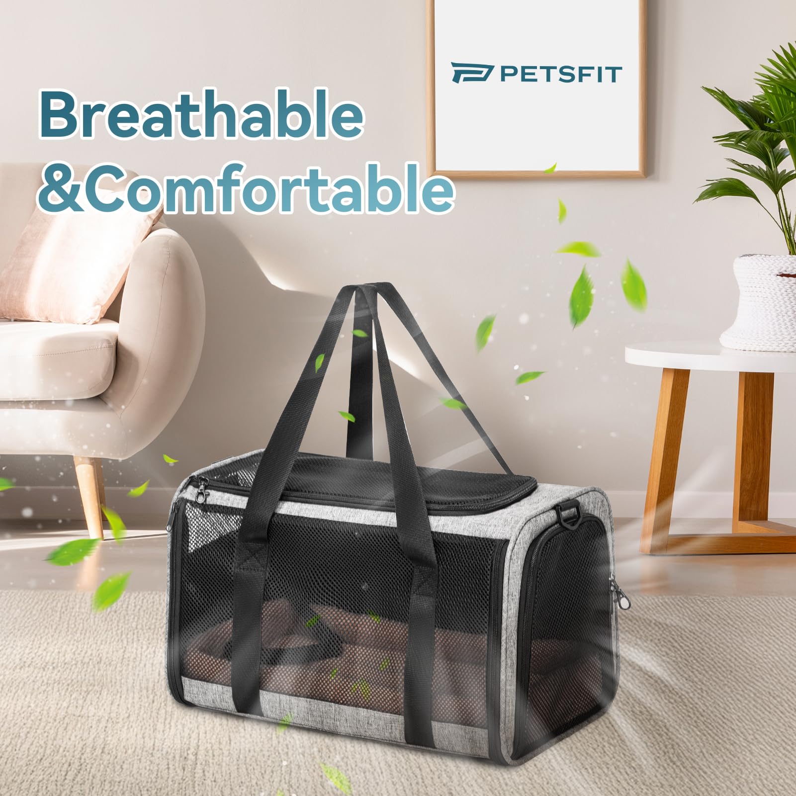 Petsfit Transportín para gatos y perros para coche, transportador para perros, plegable, con 2 hebillas patentadas para asiento de coche, red de 4 lados y cojín extraíble, L/gris