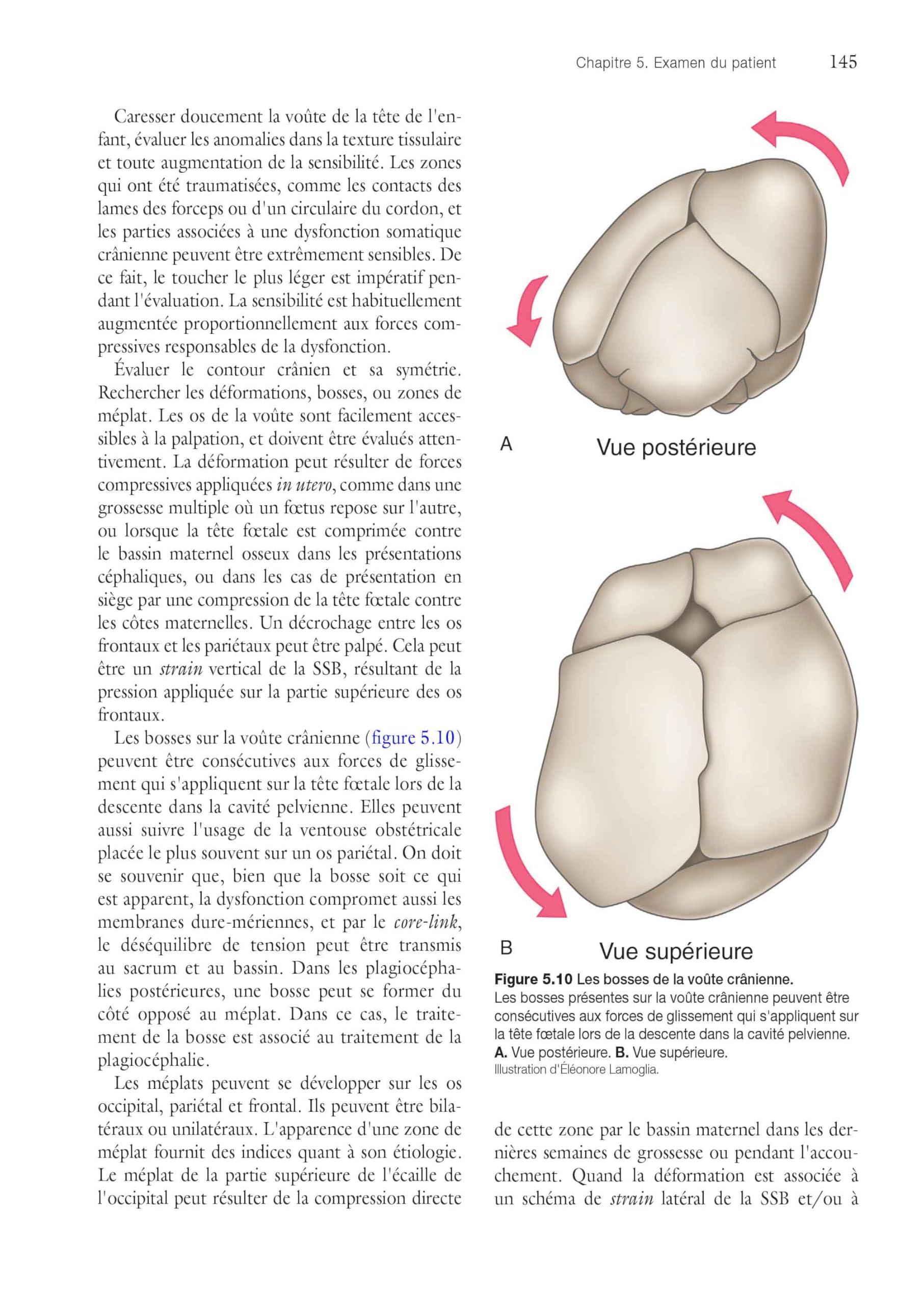 Ostéopathie pédiatrique