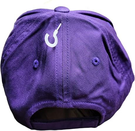 Capsmith Washington Huskies Two Tone MVP Hat