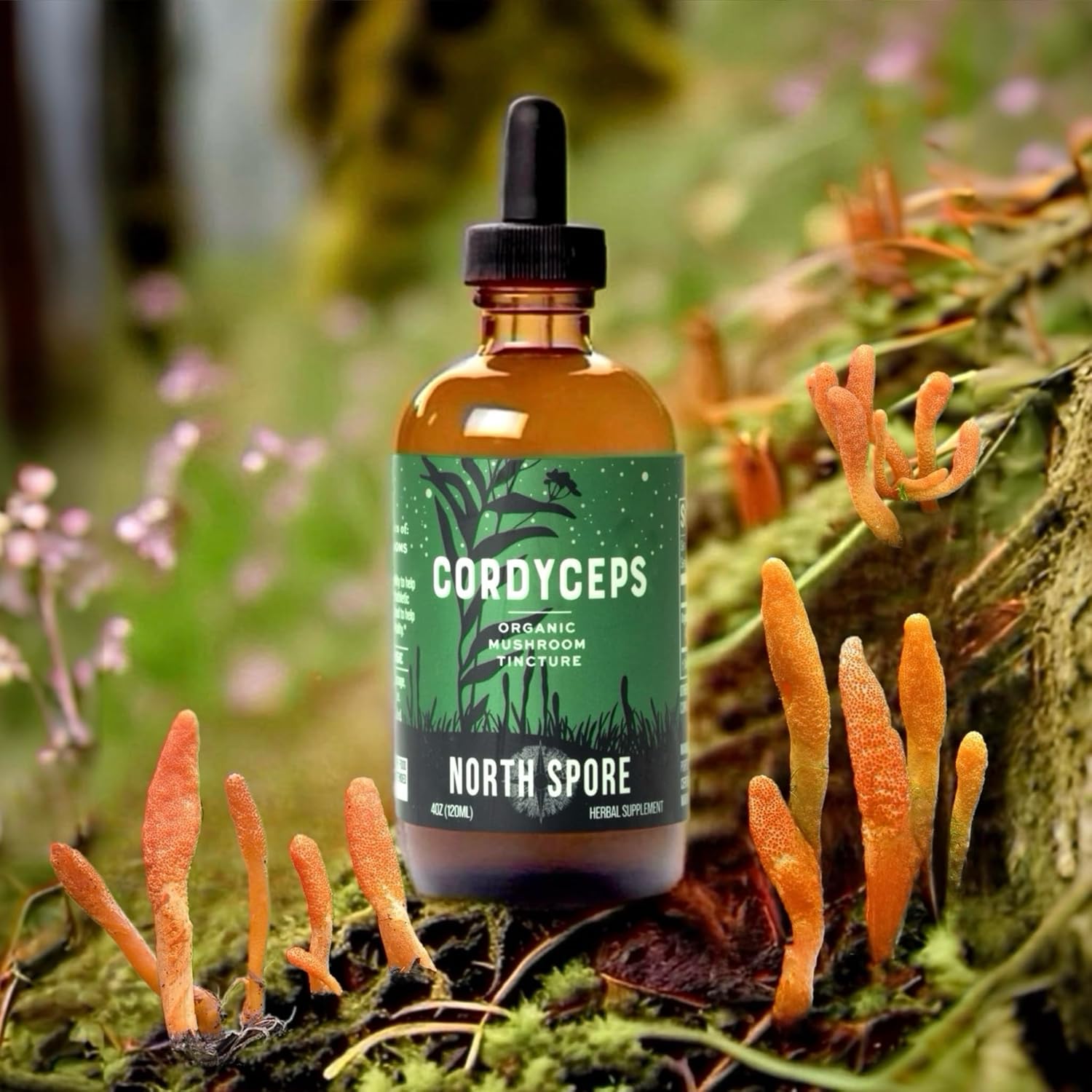 North Spore Organic Cordyceps Mushroom Tincture (4 oz) | 100% Fruiting Body Extracts | Energy, Endurance, and Stamina | Certified Organic, Vegan, Non-GMO | Adaptogenic, Nootropic | Made in USA