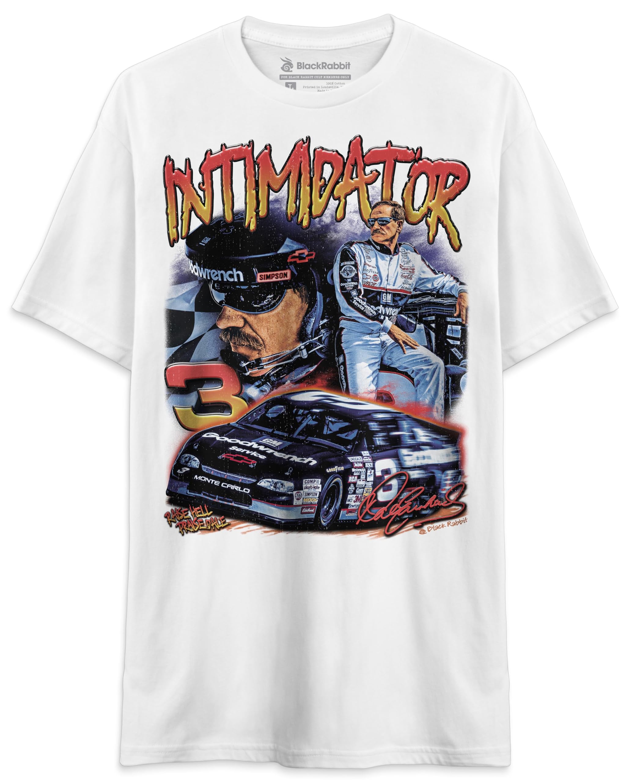Black Rabbit 90s Racing Intimidator Earnhardt Raise Hell Praise Dale Retro Unisex T-Shirt
