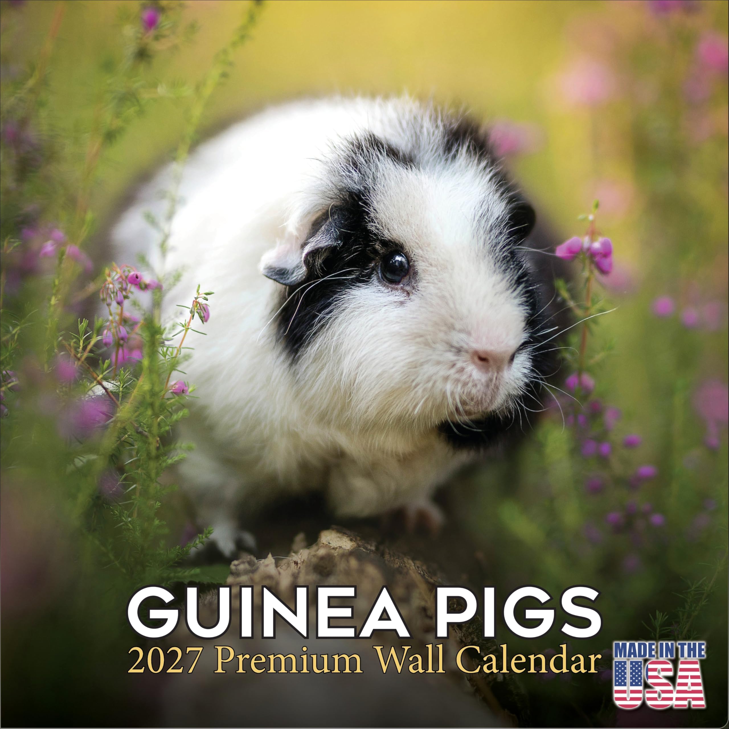 2027 Guinea Pigs Calendar - Cute Animal Monthly Wall Calendar, 16 Month 12x24 Wildlife Planner, Thick No-Bleed Paper, Large Grid, Giftable Animal Calendar for Teachers, Home, Office, Made in USA