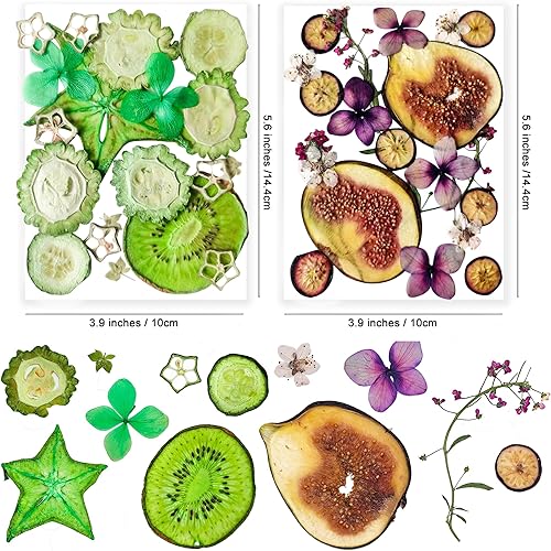 Miniatura 3 de Flores de frutas prensadas secas naturales para molde de resina juego floral de prensado en seco real para hacer joyas tarjetas álbumes de recortes