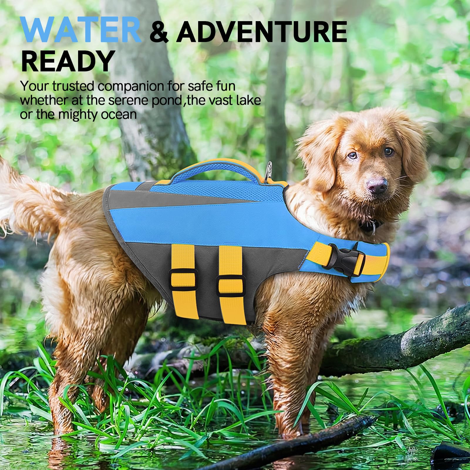 Schwimmweste Hund – Verstellbare Rettungsweste für kleine, mittlere & große Hunde mit robustem Griff & reflektierenden Streifen, ideal für Boot, See & Schwimmen (Blau M)