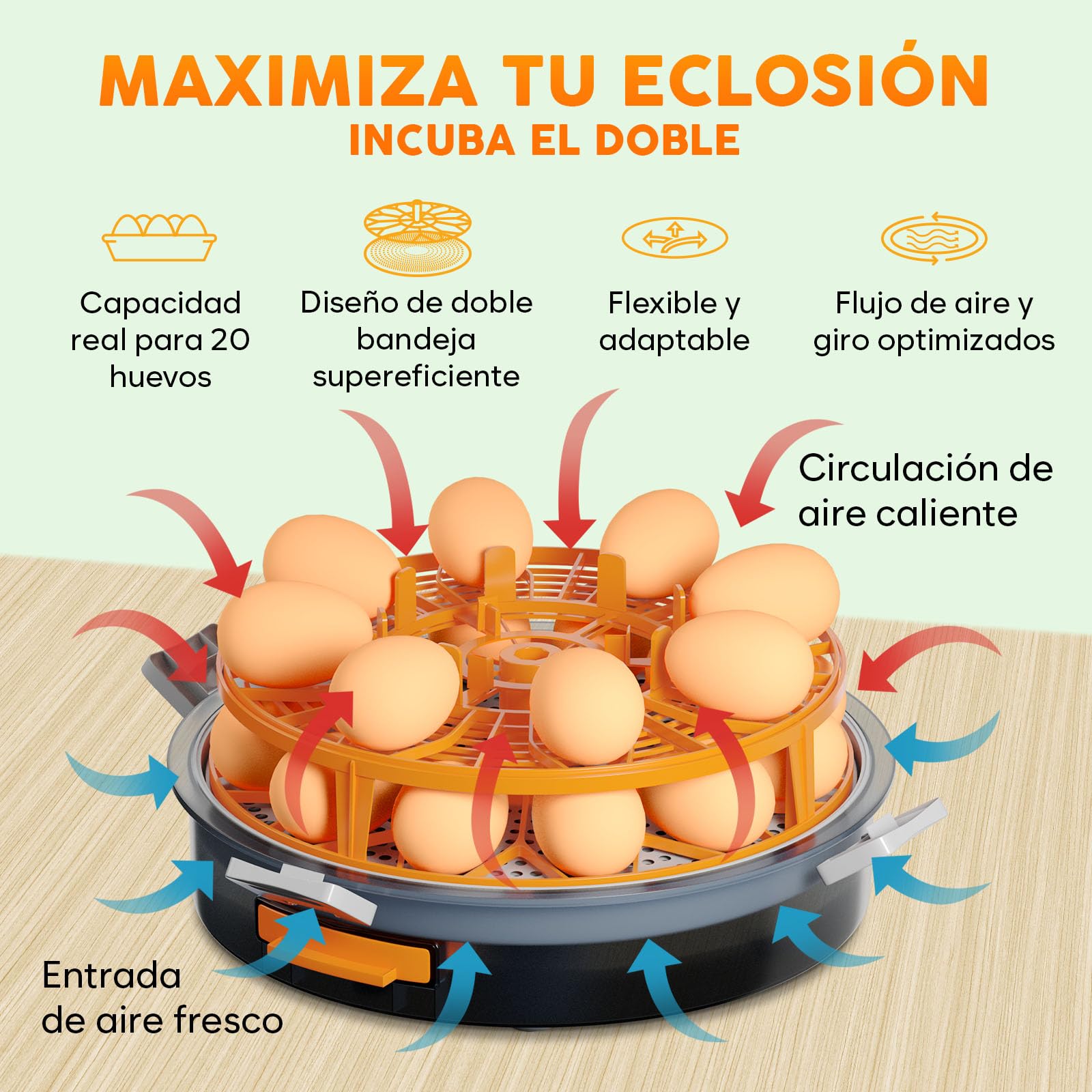 Incubadora automática Okköbi para huevos – incubadora huevos gallina 12 o 20 unidades – volteo automático – incubadora de huevos con control de temperatura y humedad – lámpara incluida