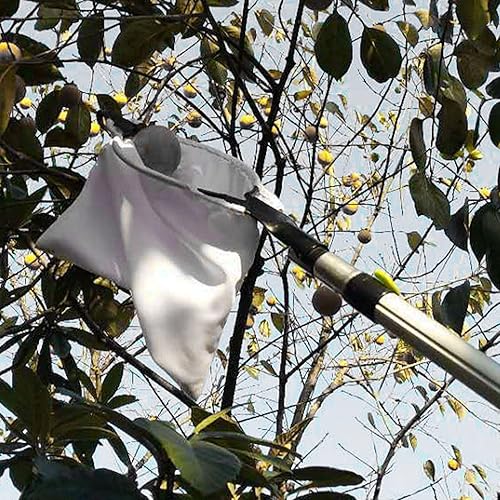Miniatura 3 de Herramienta para recolector de frutas, cuchillas de alta altitud, tijeras de rama alta, poste telescópico, tela no tejida, herramienta de utensilios