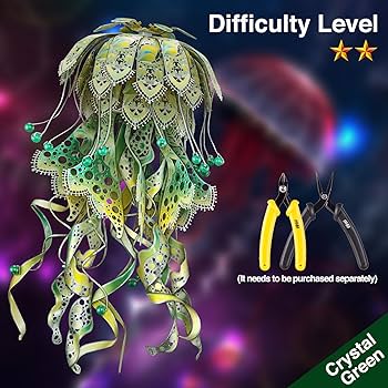 81QBLYAq5hL._AC_UF350,