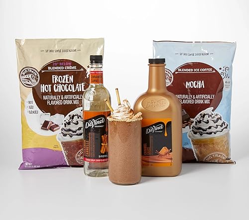 Big Train and DaVinci Gourmet Mexican Mocha Frappe Bundle Pack