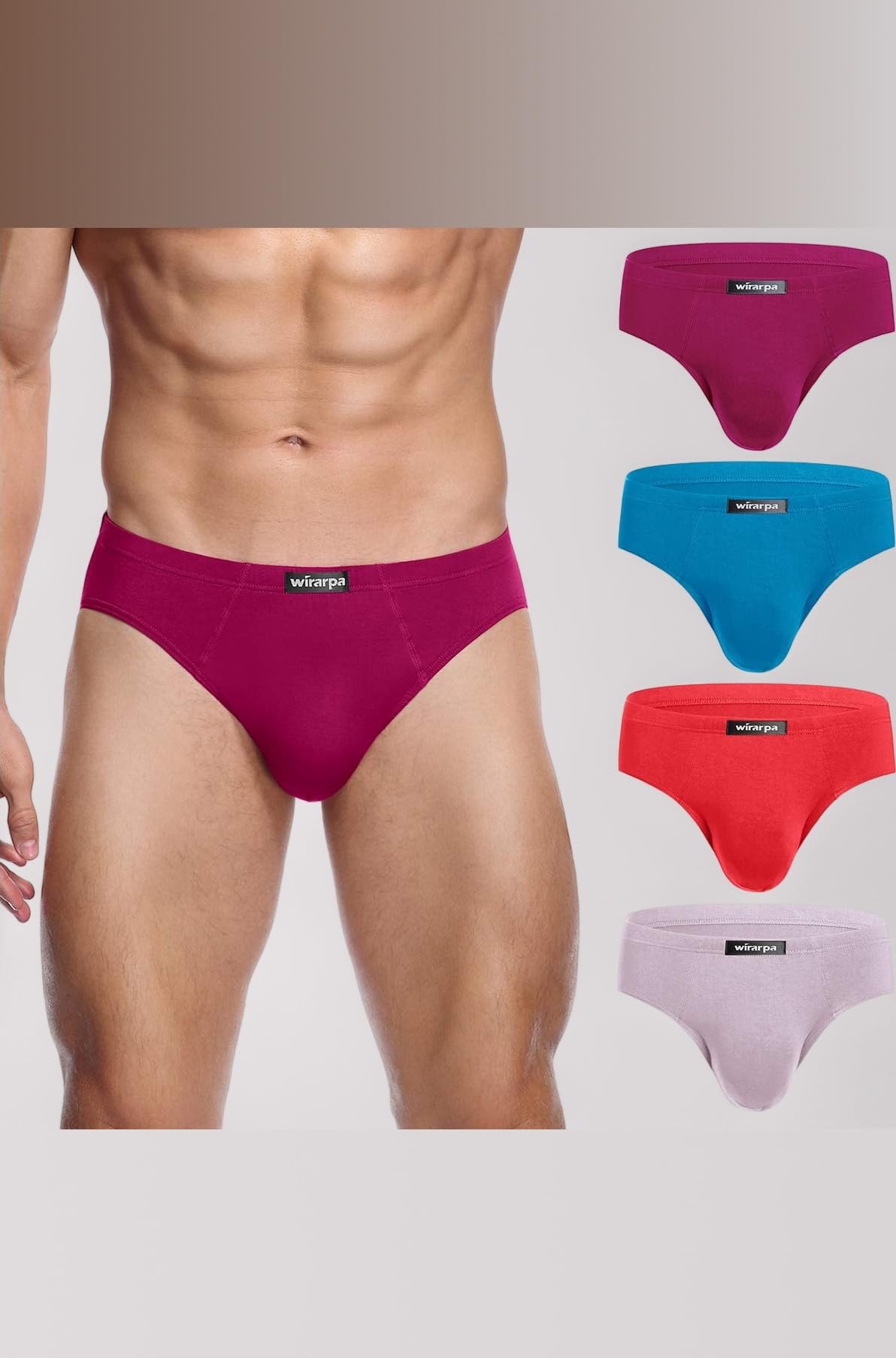 wirarpa Men's Underwear Multipack Modal Microfiber Briefs No Fly Covered Waistband Silky Touch Underpants