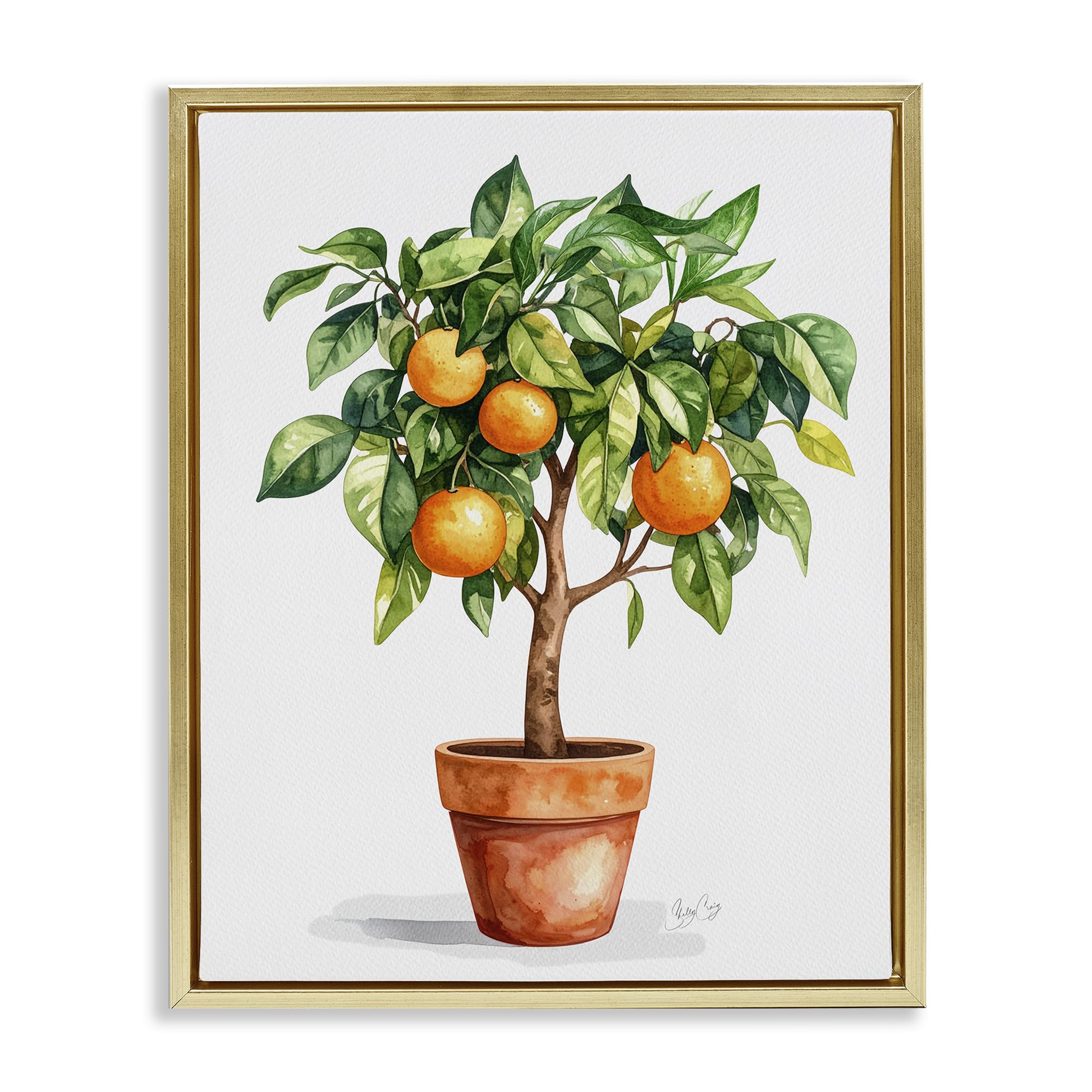 Stupell Industries Potted Orange Tree Painting 'Potted Orange Tree', Floating Frame Canvas Art, Gold, 25 X 31 Inches, Easy To Hang And Sturdy, Made In Usa, By Shelly Craig