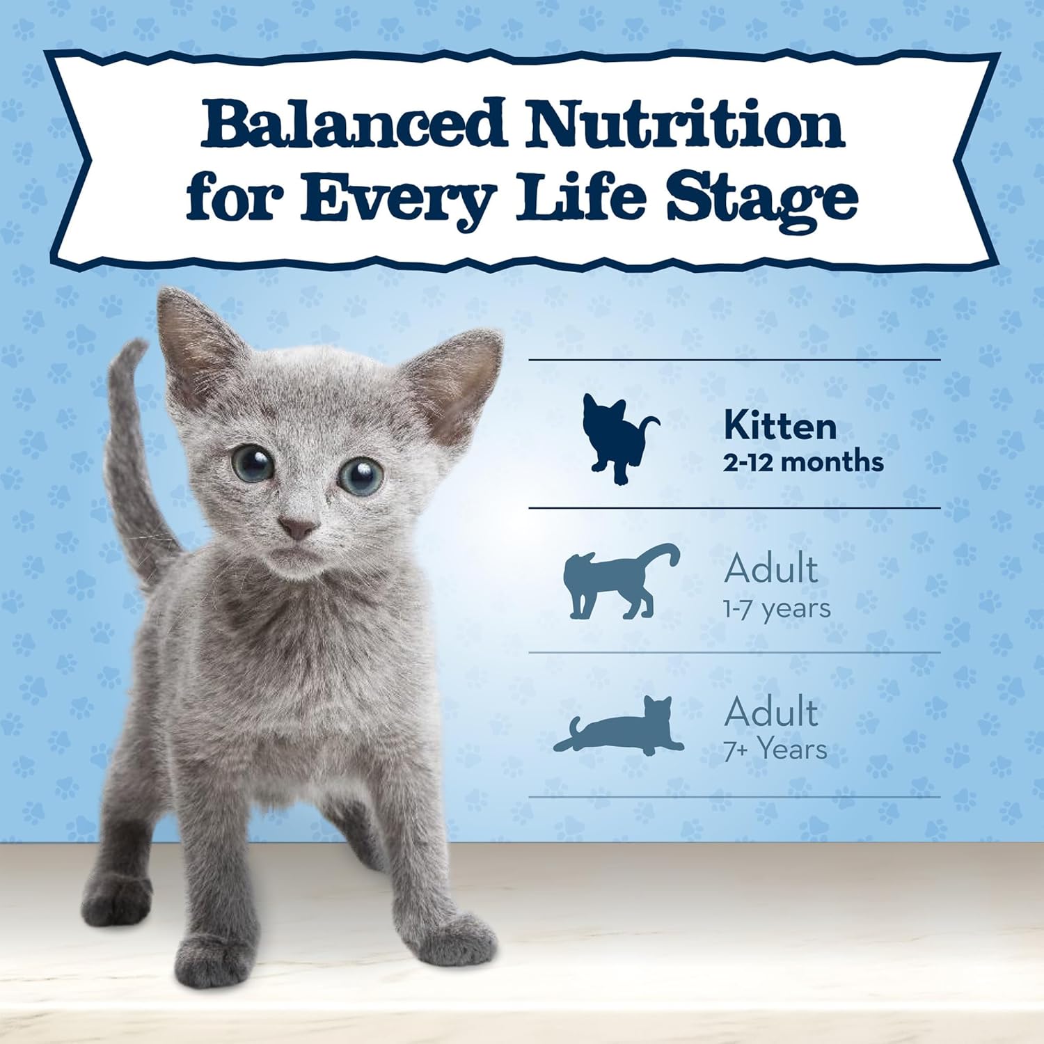 Blue Buffalo Baby Blue Natural Grain-Free Wet Food for Kittens, Healthy Growth Formula with DHA, High-Protein Chicken Paté, 3 oz. Can