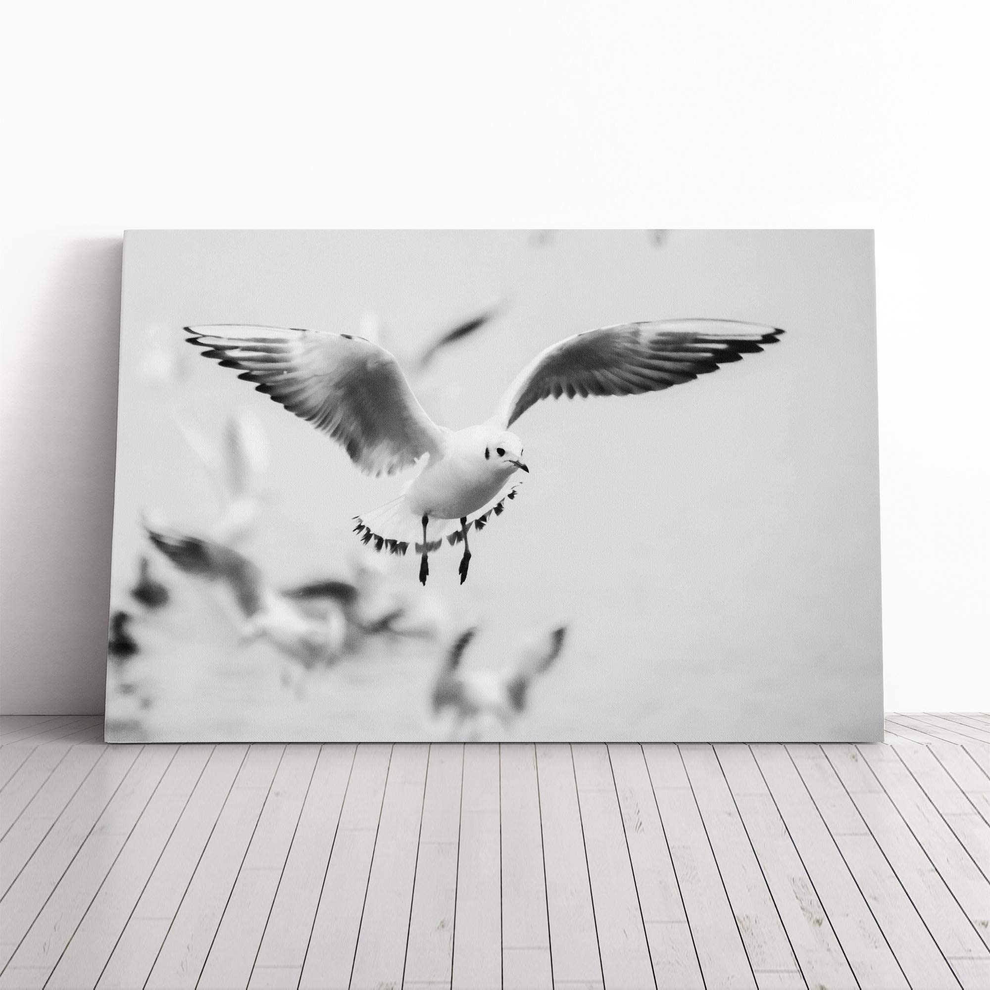 Seagulls Birds Canvas Print | Gallery Wrapped 30mm Frame Wall Art | 30x20 inches | Ready to Hang | Modern Bird Picture | Living Room Bedroom Lounge Office