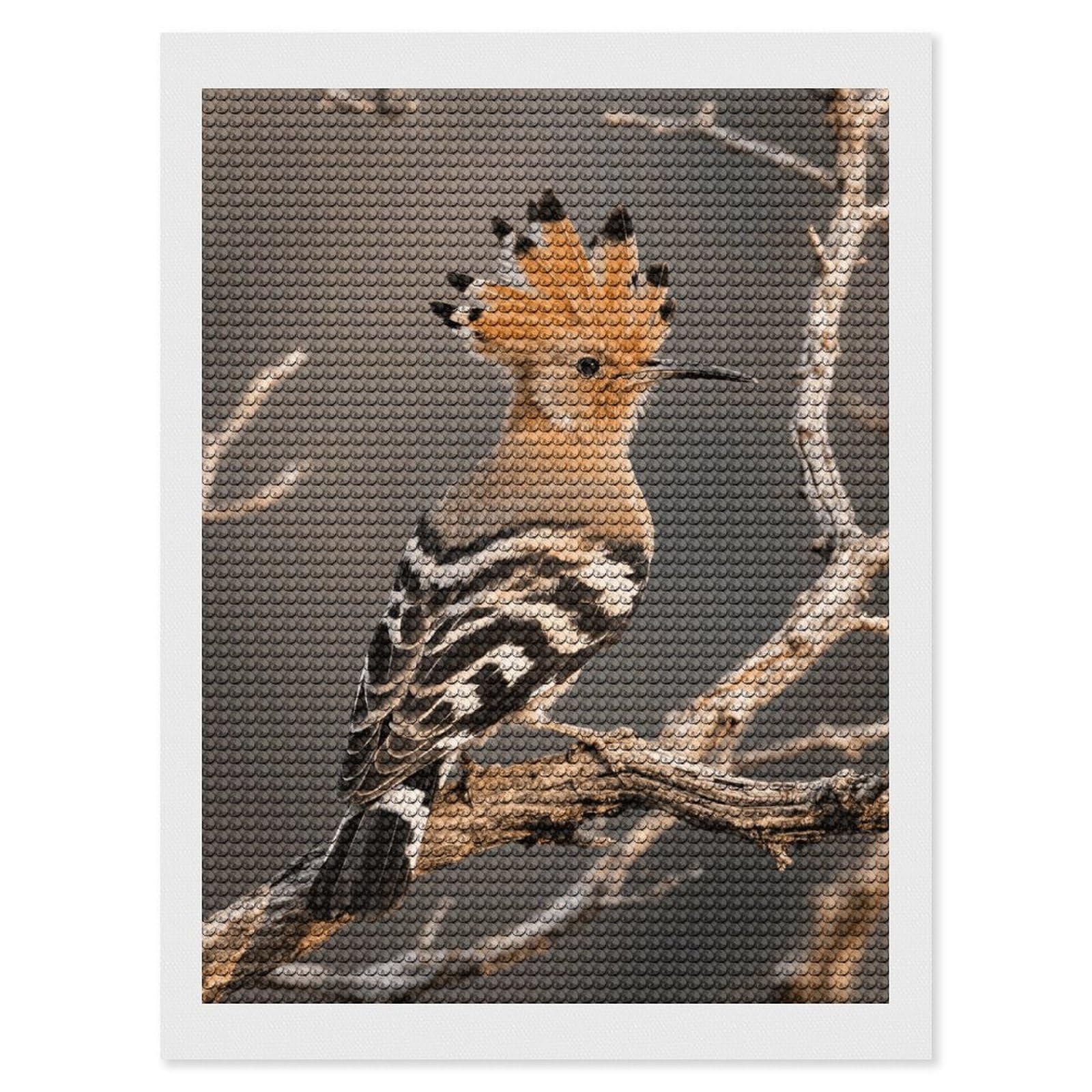 FodPand Hoopoe 5D Diamond Painting Kits for Adults Beginners Full Drill Round Diamond Dots Pictures Gem Art Supplies for Home Wall Room Decoration DIY Craft Set Gift 12x16