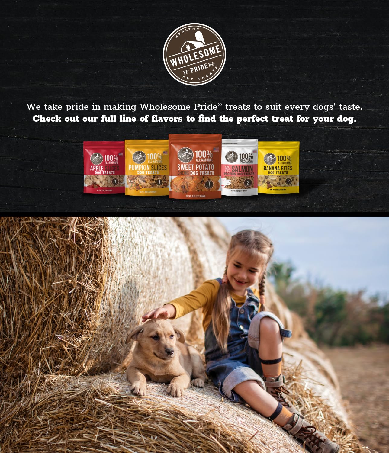 Wholesome Pride Banana Bites - Zuccheriera per cani, 2 ingredienti, banane e olio di cocco, senza cereali, 473,6 g