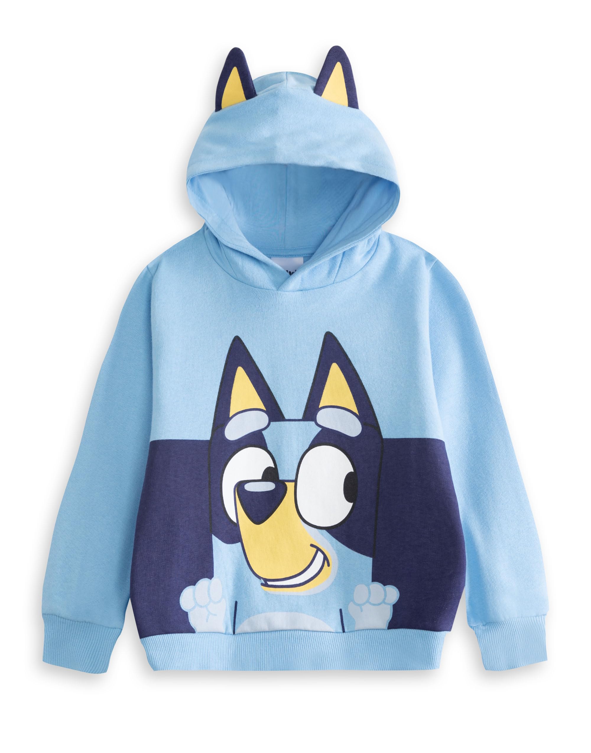 Bluey (3-4 Years) Hoodie (Unisex Kids Blue)