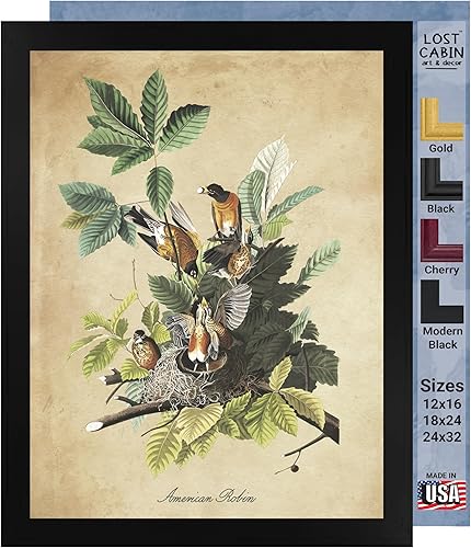 Vista 190 de Towee Bunting by James Audubon - Marco biselado negro de 12 x 16 pulgadas, decoración artística enmarcada para pared, reproducción de pinturas