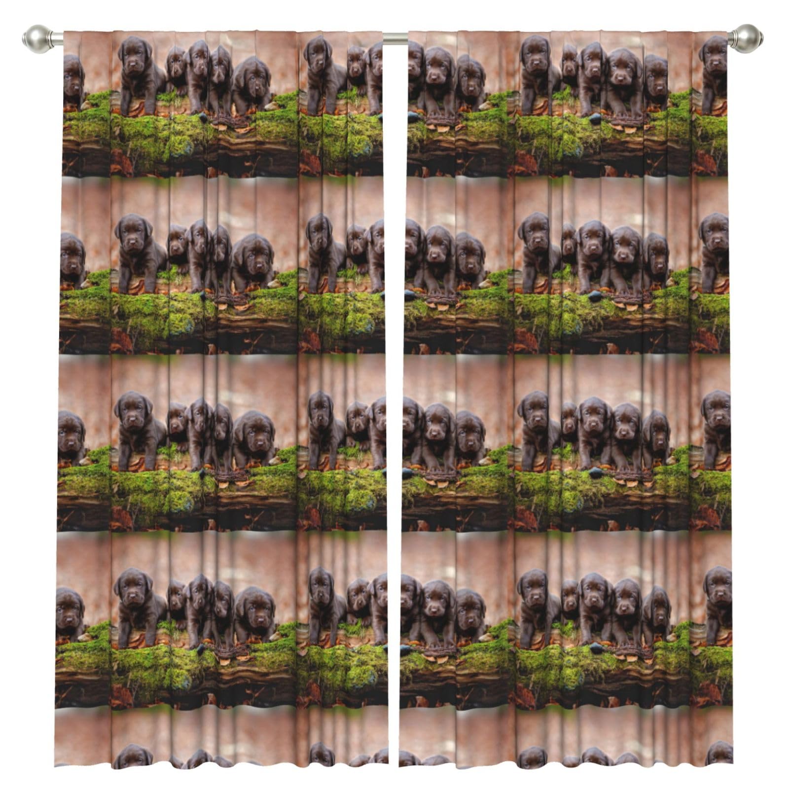 InOmak Labrador Puppies Brown Little Puppies Family, 2 Panels Window Curtains 52 x 84 Inch Blackout Curtains for Living Room Bedroom