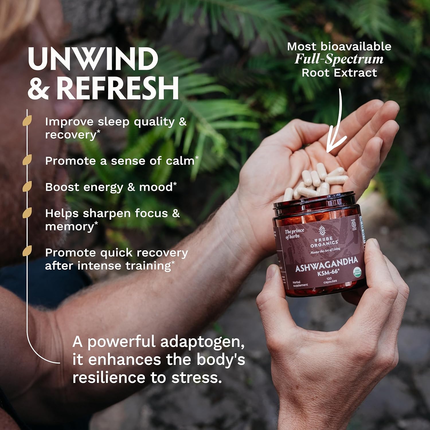 TRIBE ORGANICS Ashwagandha KSM 66 Pure Organic Root Powder Extract Ayurvedic Supplement - Focus, Mood Support, Increase Energy, Strength, 600mg of Natural KSM66 for Superior Absorption - 120 Capsules - Image 5