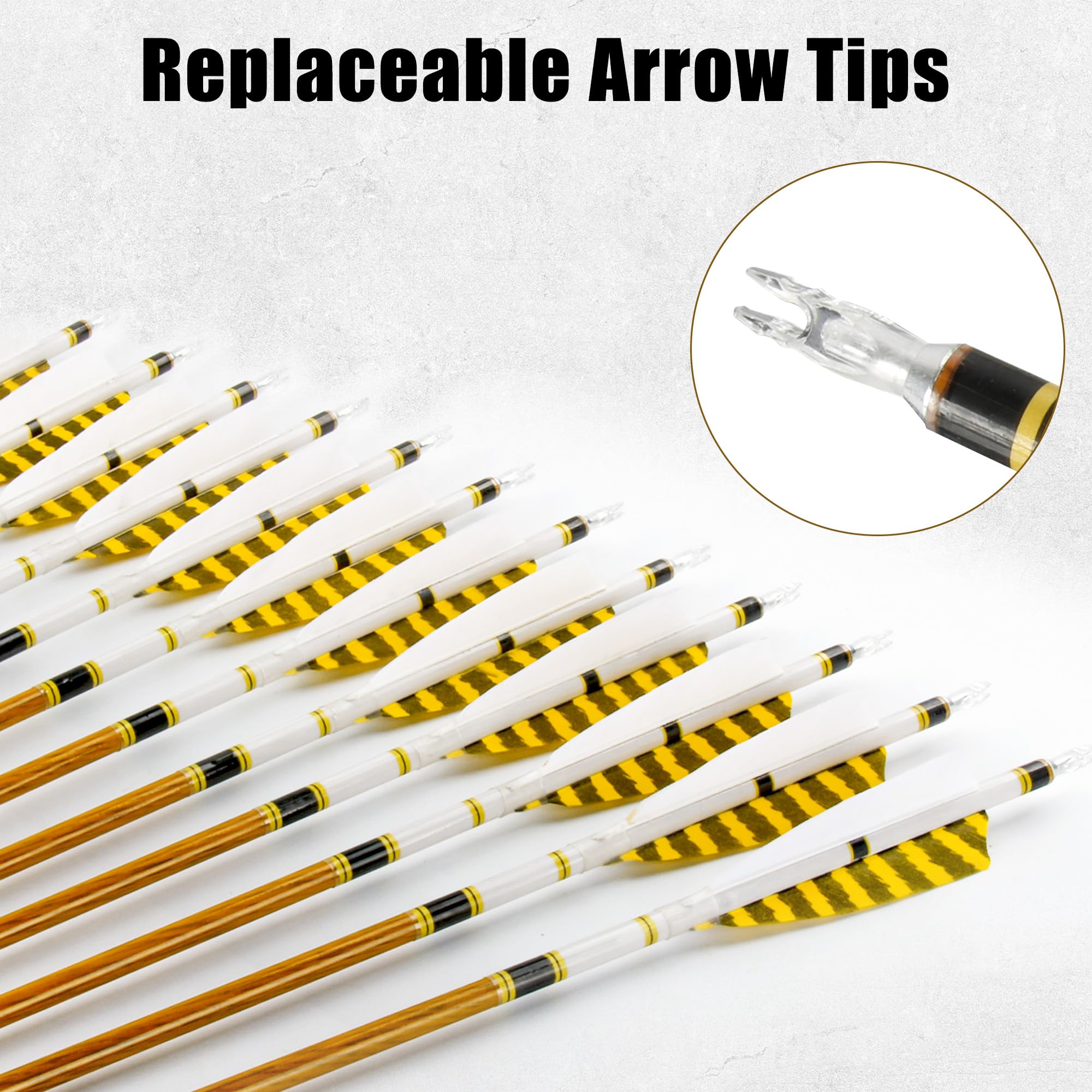 12 Flèches Carbone 31 Pouces avec Plumes Naturelles pour Tir à l'arc Adultes Recurve et Traditionnel
