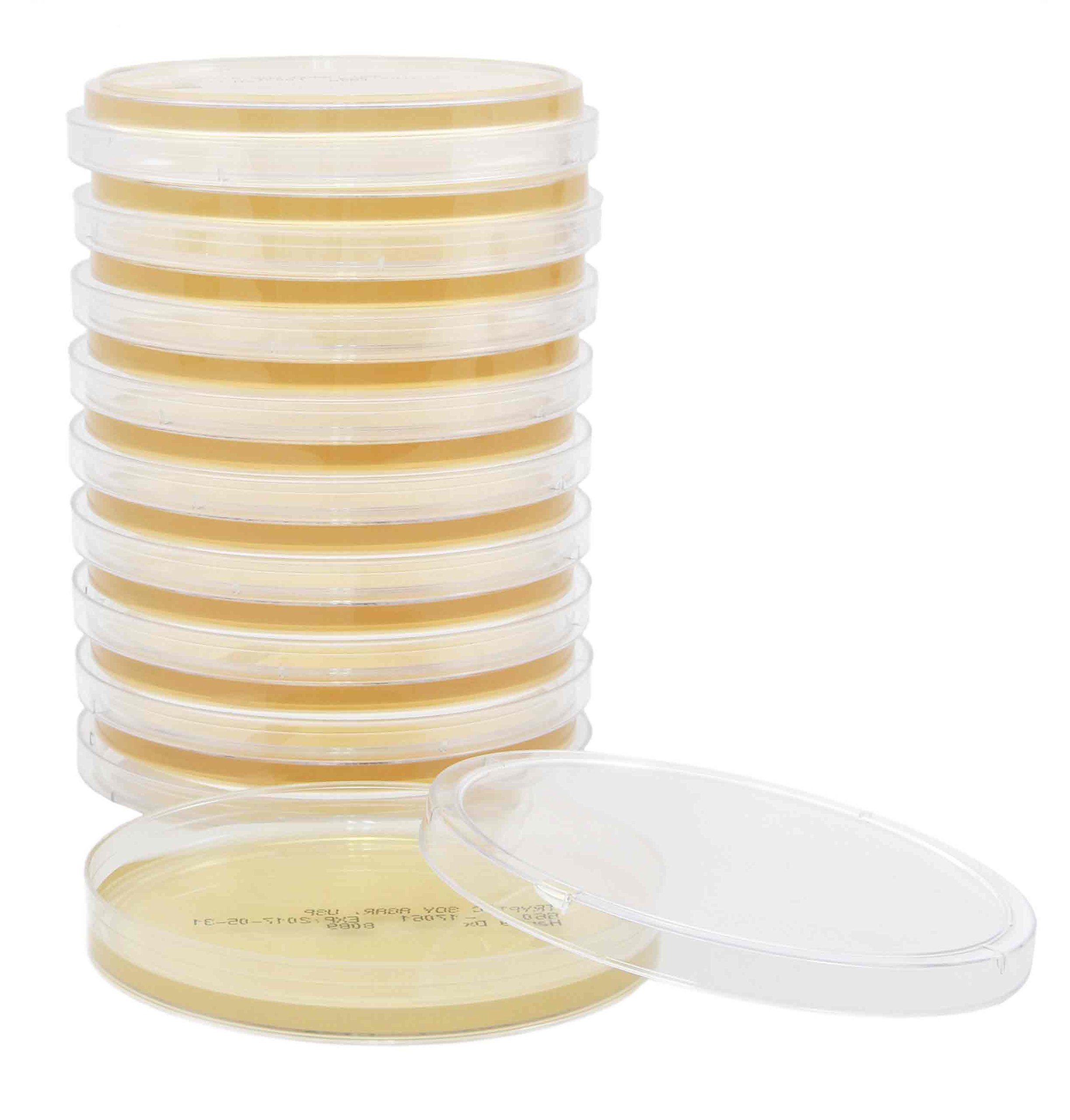 Hardy Diagnostics G60 Tryptic Soy Agar (TSA), 15 x 100 mm Plate (Pack of 10)