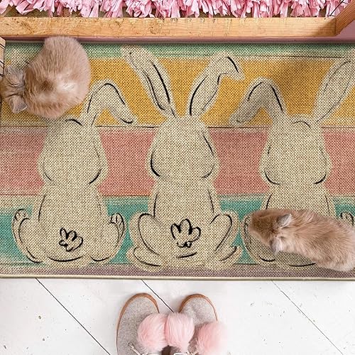 Miniatura 4 de Artoid Mode Felpudo de Pascua de conejo, decoración de primavera de temporada, tapete de interruptor de bajo perfil, tapete de piso para interiores