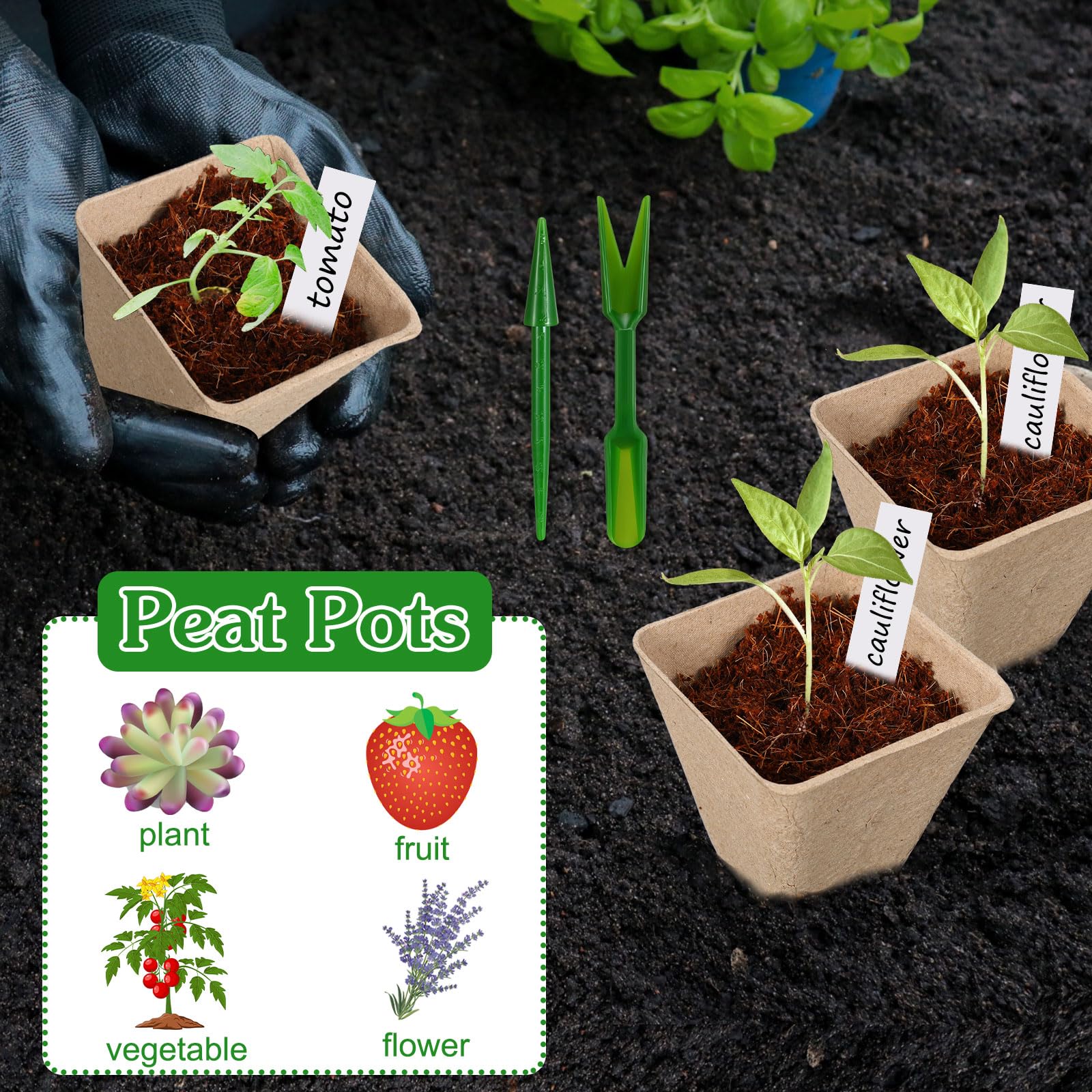Layhit Lot de 1 000 pots de tourbe de 7,9 cm, kit de démarrage de semis, pots de semis avec 1 000 étiquettes pour plantes, 10 outils de transplantation (carrés)