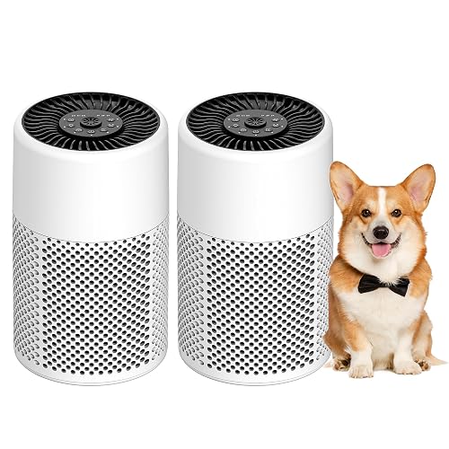 CHIVALZ Air Purifiers for Bedroom and Dorm Room, 2 Pack