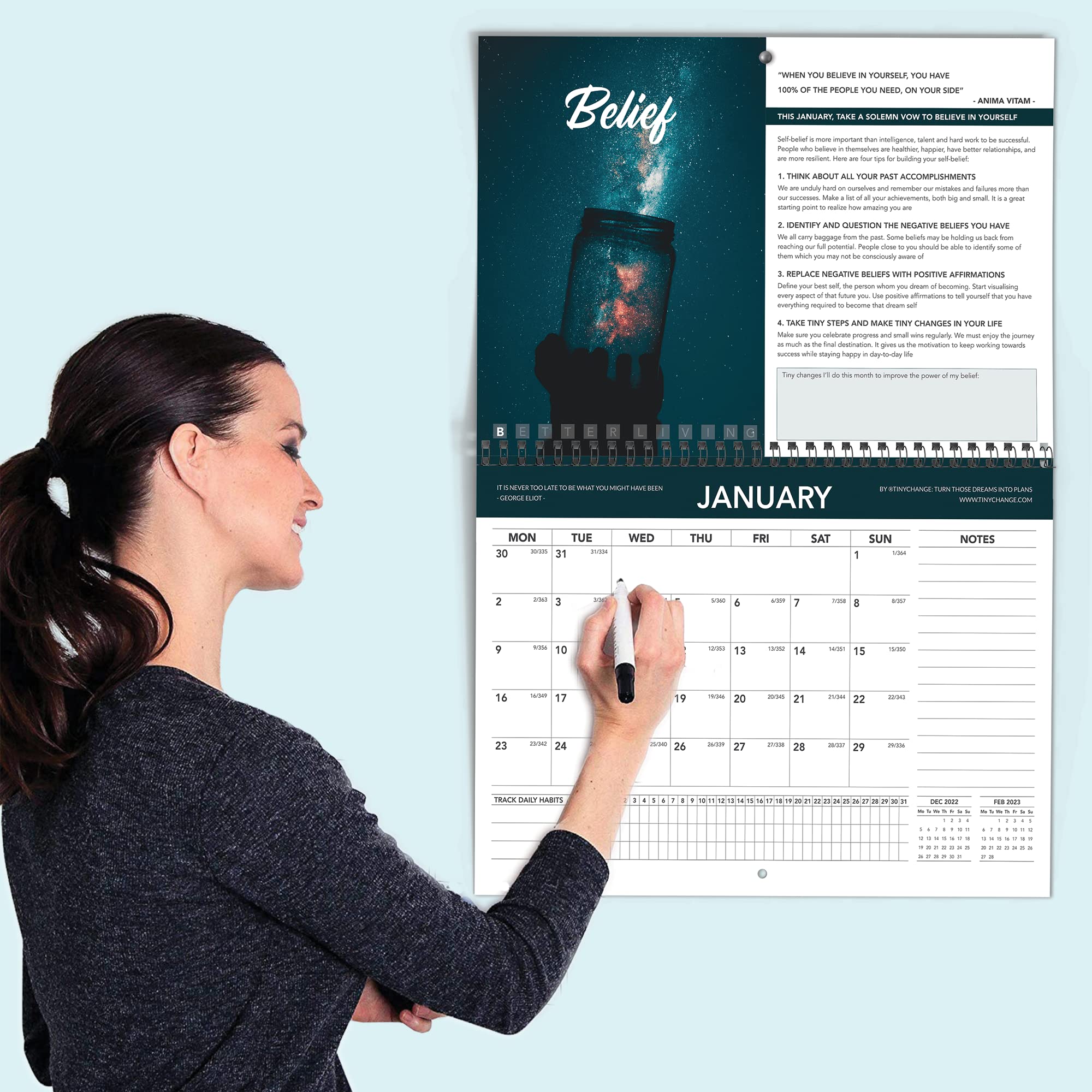 Buy TINYCHANGE 2023 Wall | Planner with 12 Monthly Better Living Themes