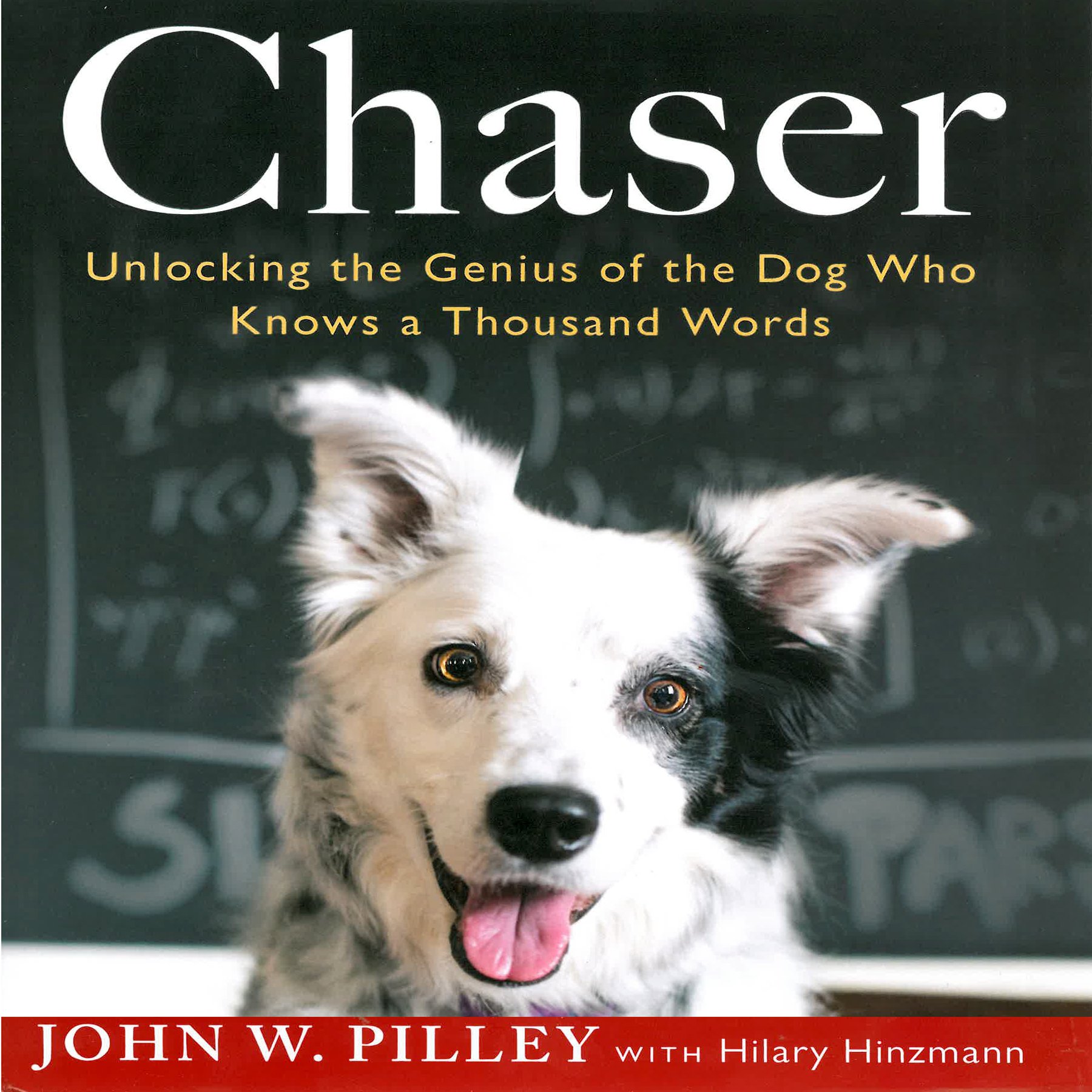Cover art for Chaser